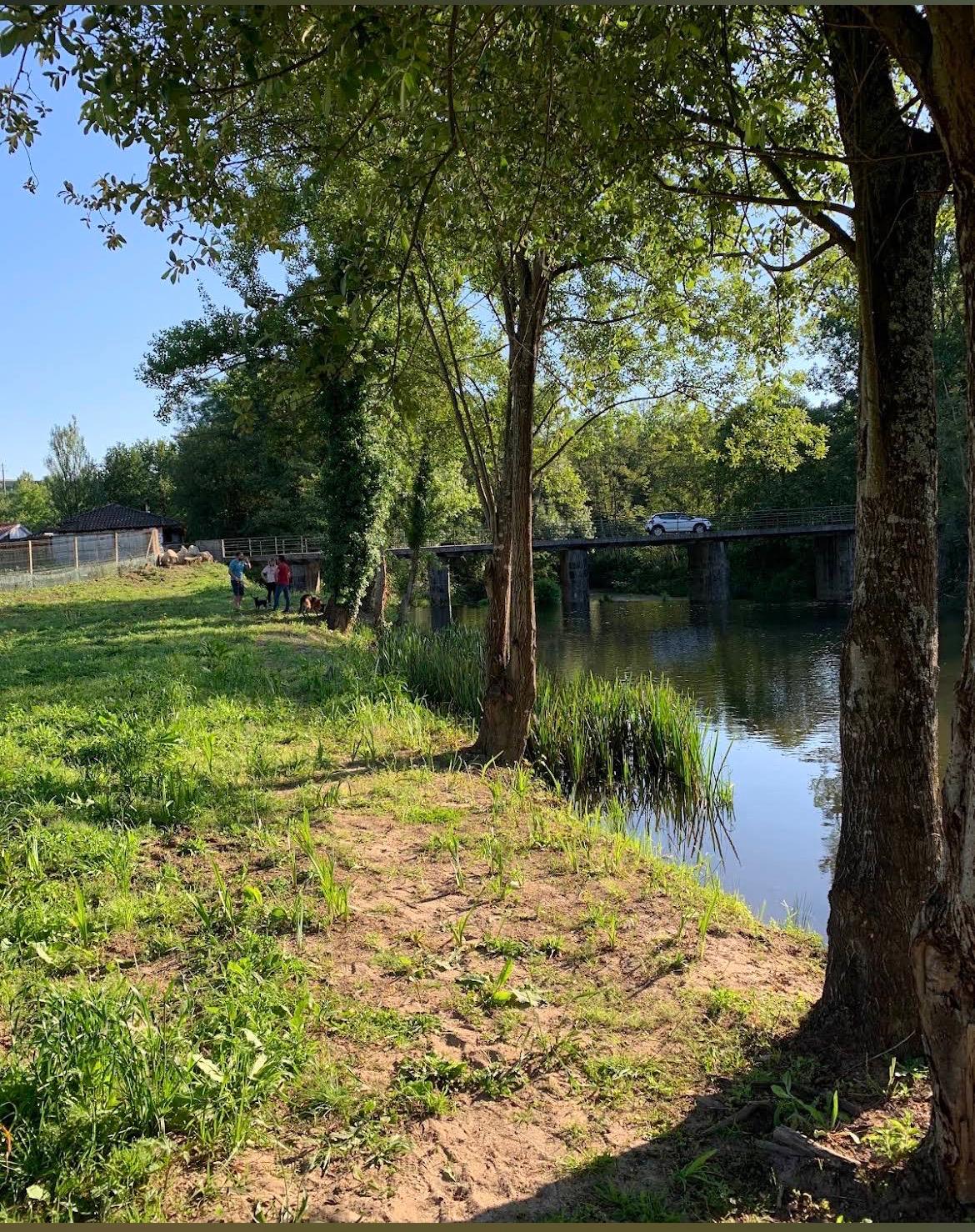 Zona ribeirinha arborizada e ponte da freguesia